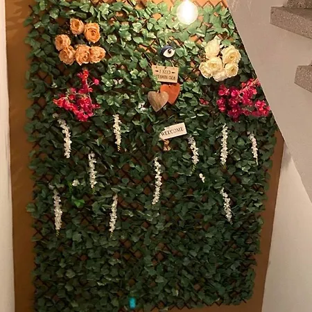 Ellenapa Apts & Lägenhet Ayia Napa